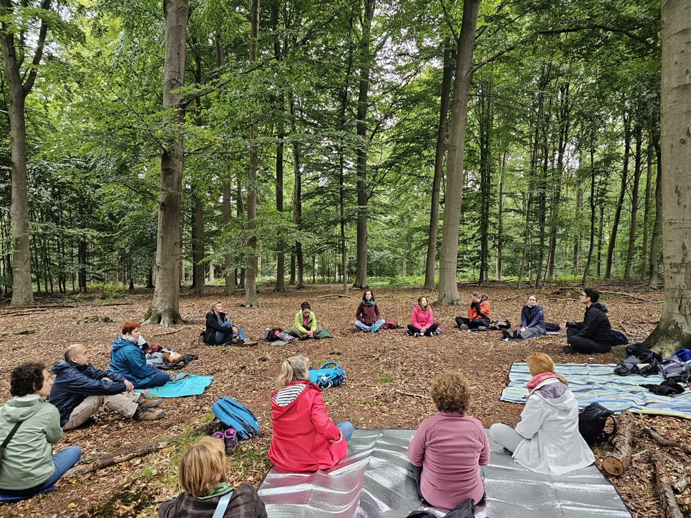 Two people in a coaching session in nature.